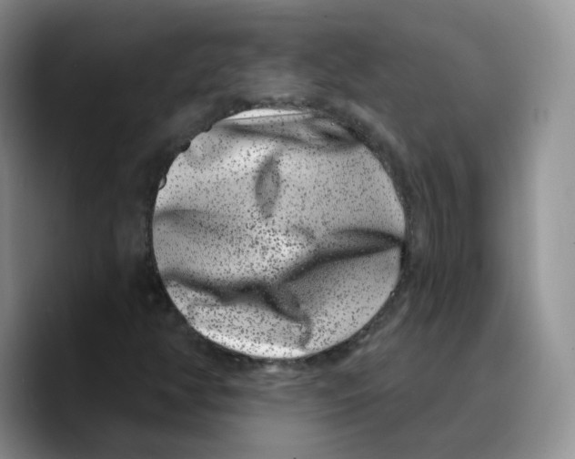 X0000089741350200707201853