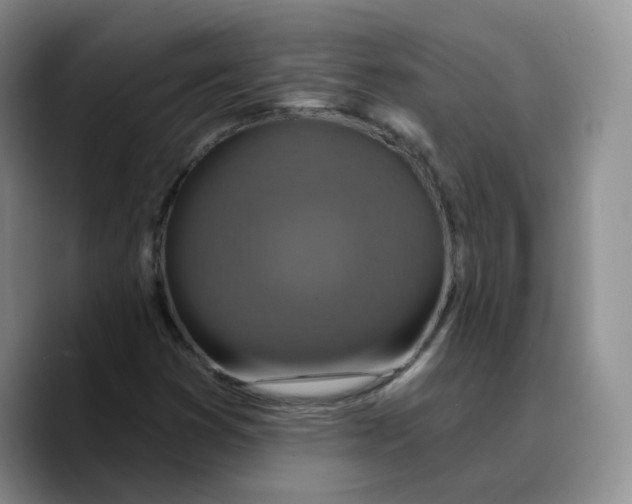 X0000089741353200707201853