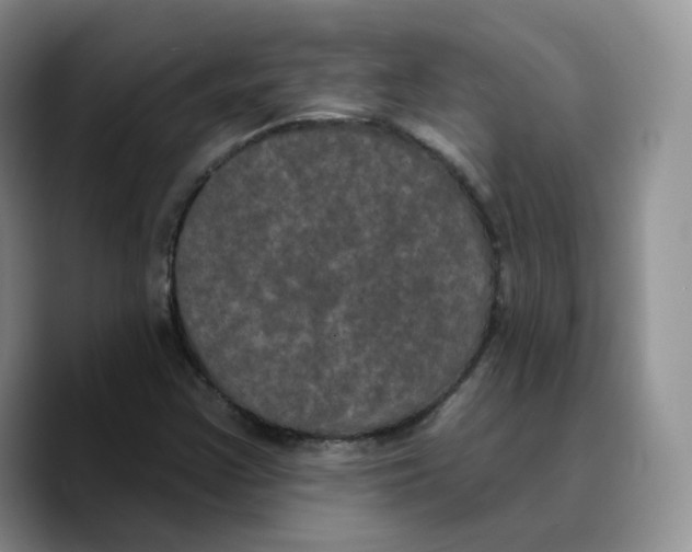 X0000089741355200707201853