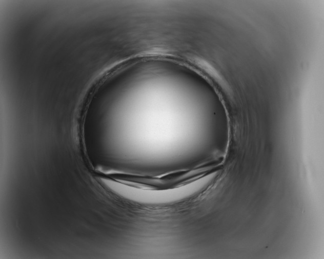 X0000089741356200707201853