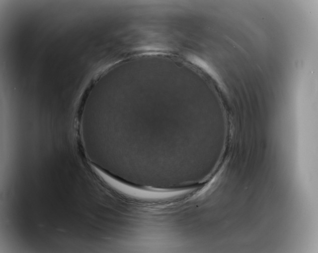 X0000089741357200707201853