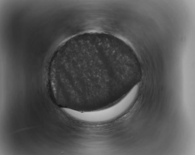 X0000089741359200707201853