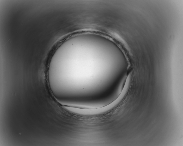 X0000089741360200707201853