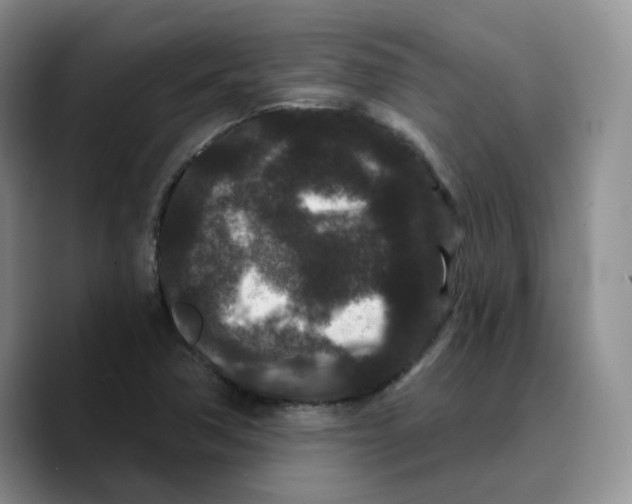 X0000089741362200707201853