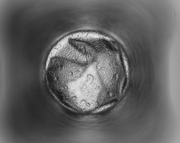 X0000089741367200707201853