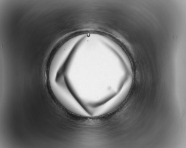 X0000089741368200707201853