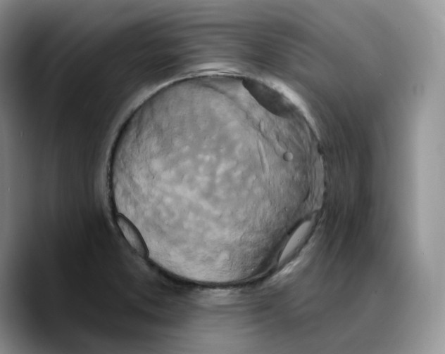 X0000089741373200707201853