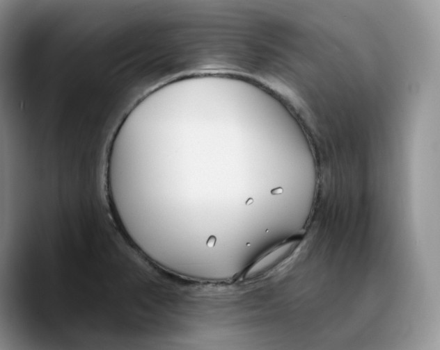 X0000089741374200707201853