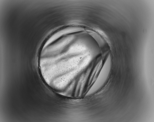 X0000089741376200707201853