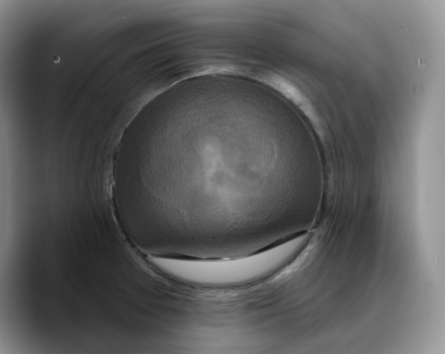 X0000089741377200707201853