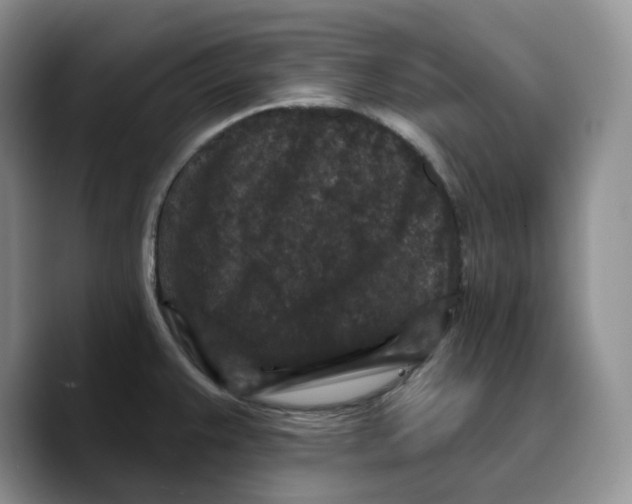 X0000089741383200707201853