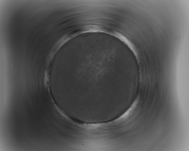 X0000089741385200707201853