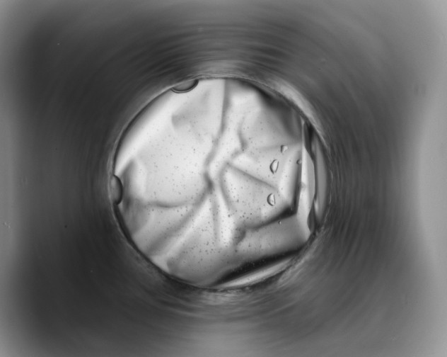 X0000089741386200707201853