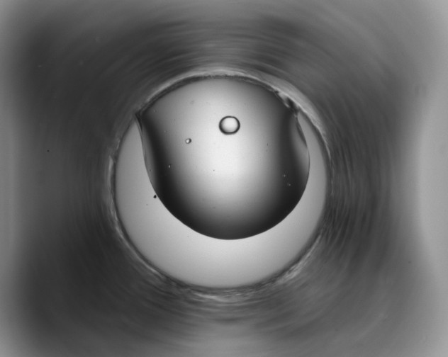 X0000089741388200707201853