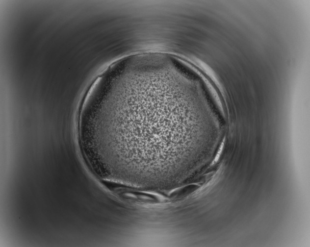 X0000089741389200707201853