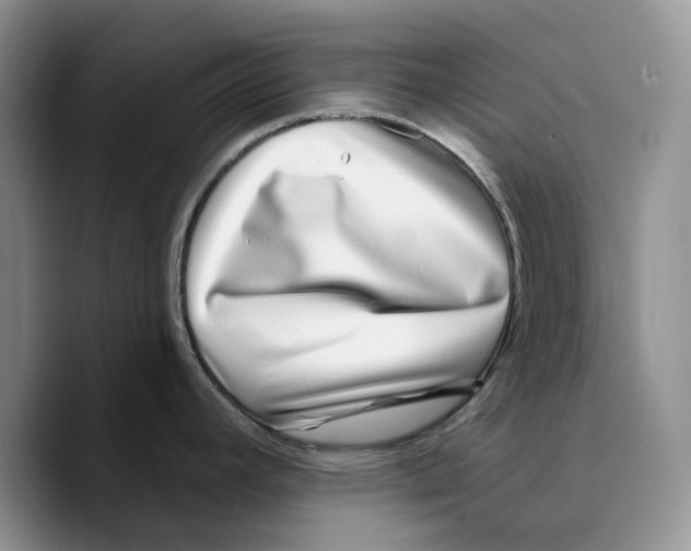 X0000089741392200707201853