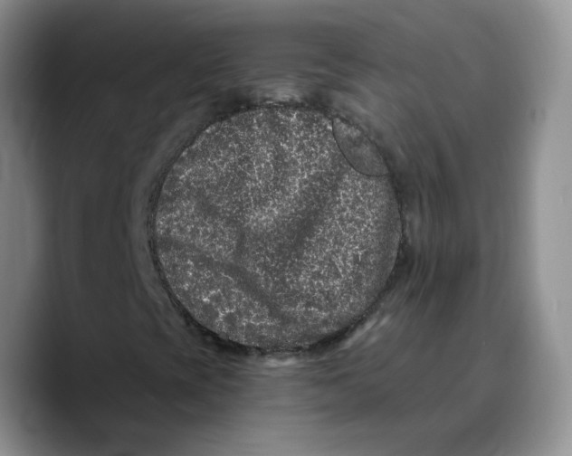 X0000089741393200707201852