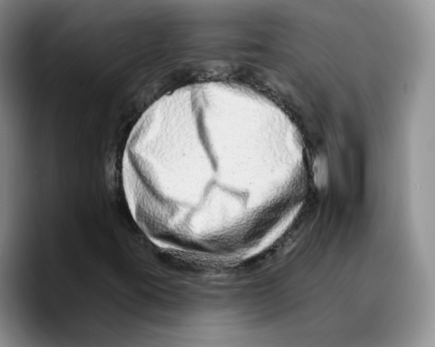 X0000089741395200707201852