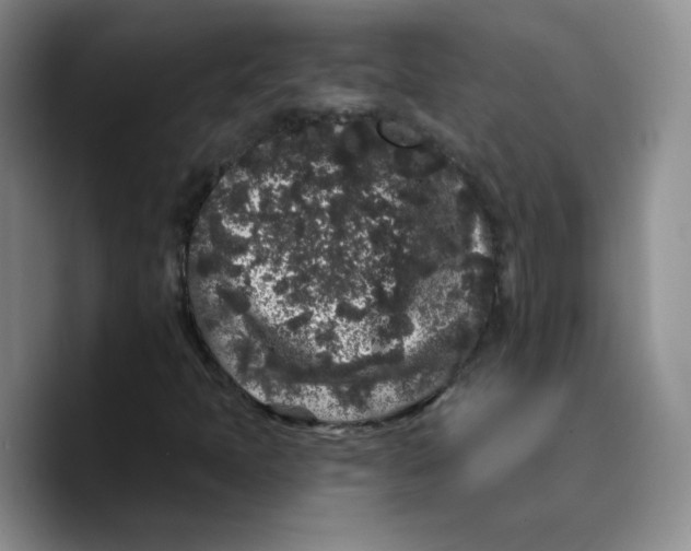 X0000089741397200707201852