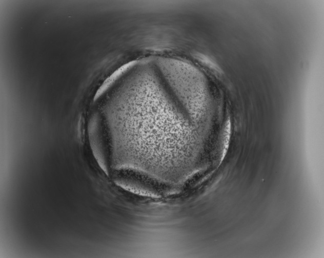 X0000089741398200707201852