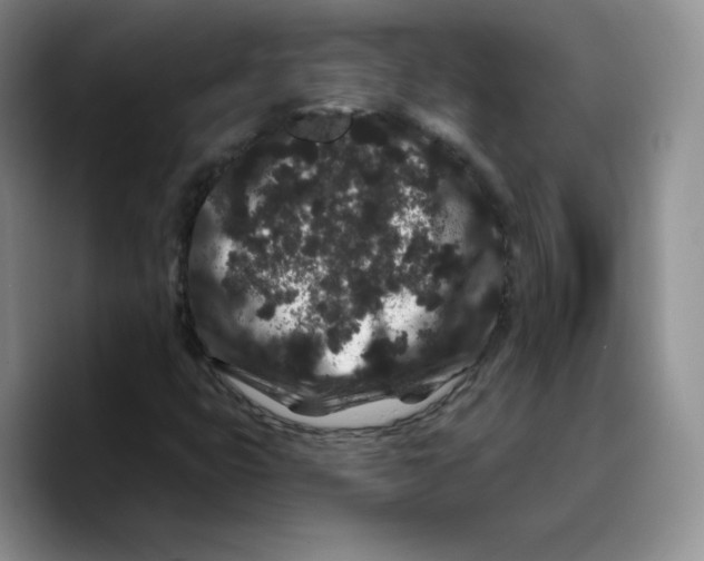 X0000089741399200707201852