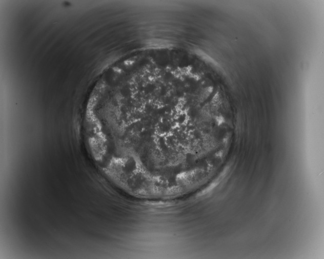 X0000089741401200707201852