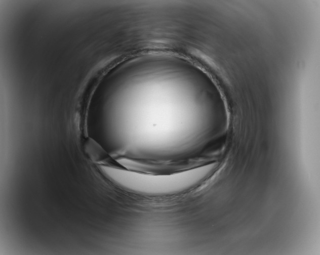 X0000089741402200707201852