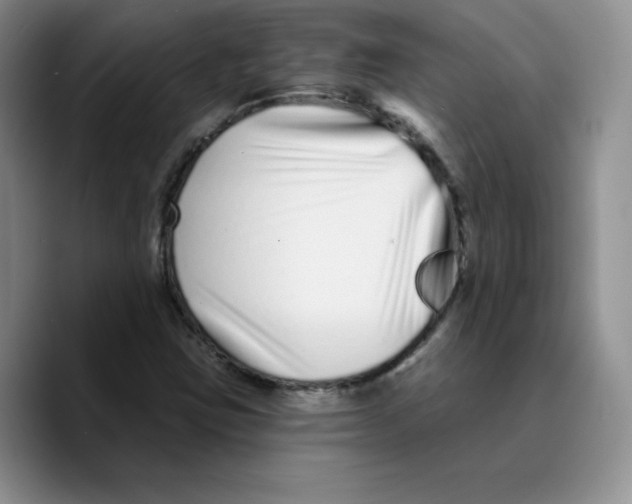 X0000089741403200707201852