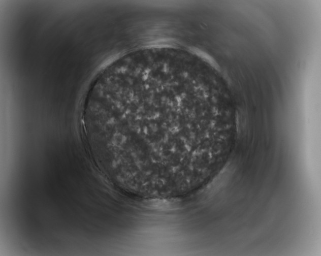 X0000089741405200707201852