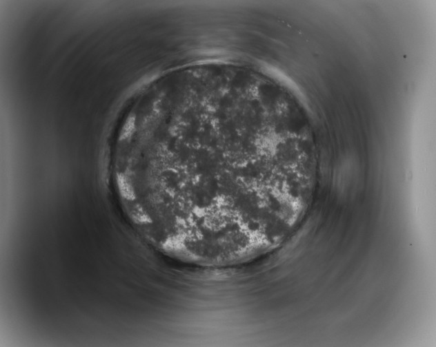 X0000089741411200707201852