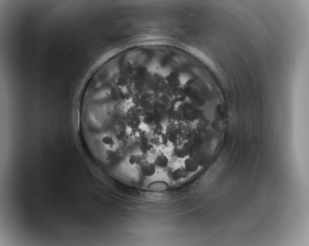 X0000089741413200707201852