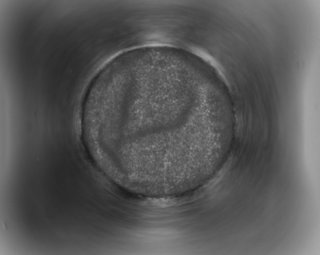 X0000089741415200707201853