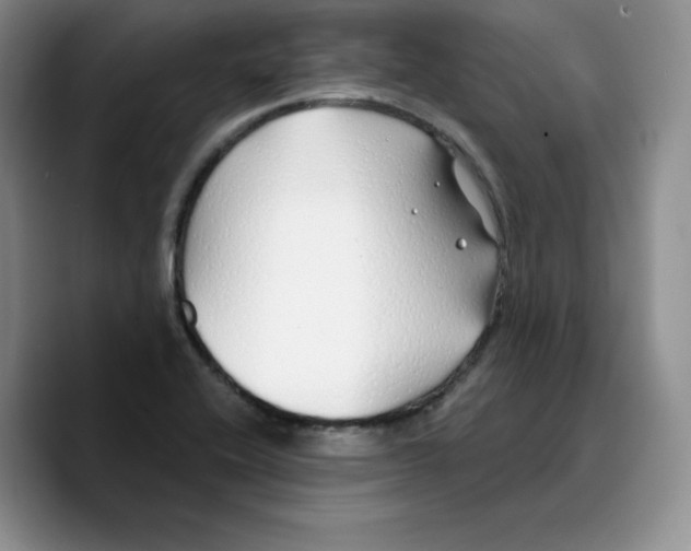 X0000089741416200707201853