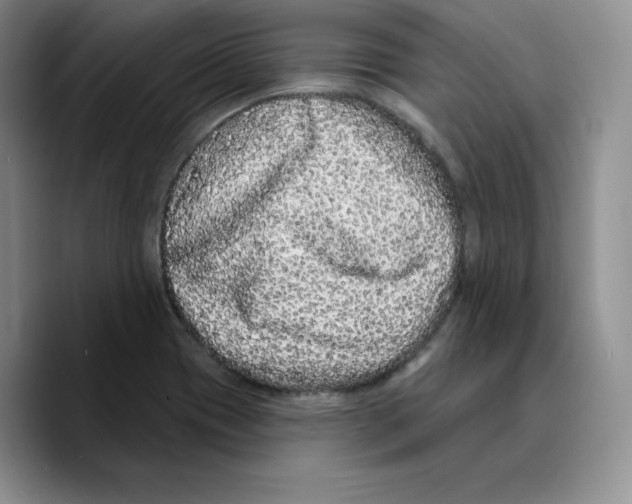 X0000089741417200707201853