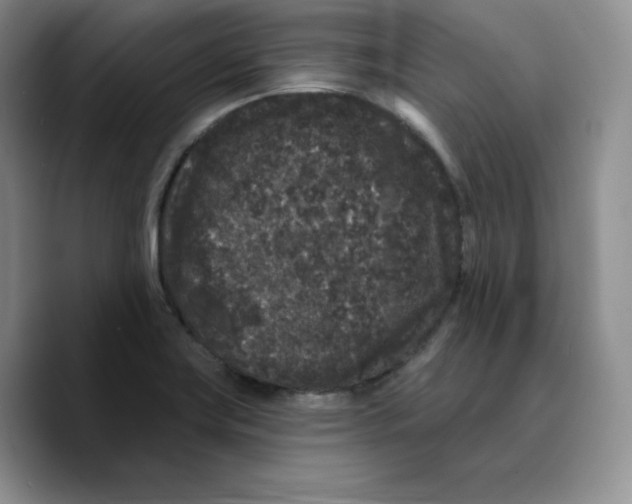 X0000089741419200707201853