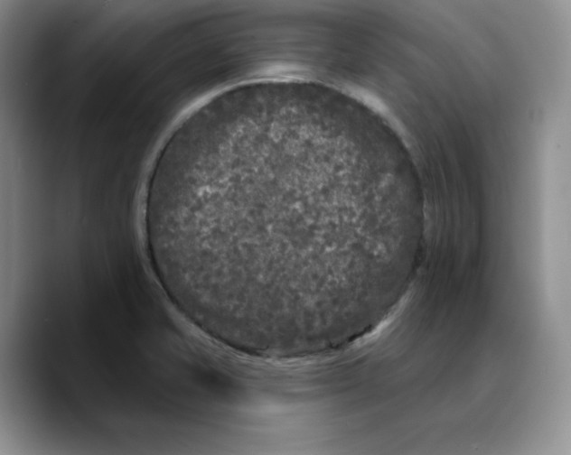 X0000089741421200707201853