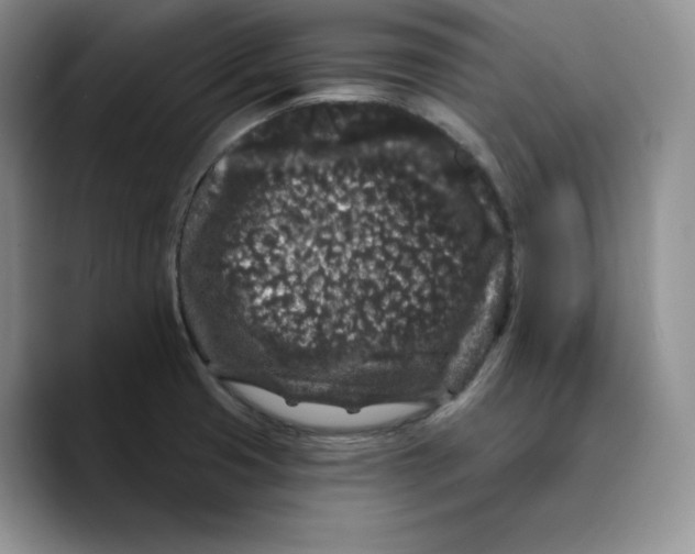 X0000089741425200707201853