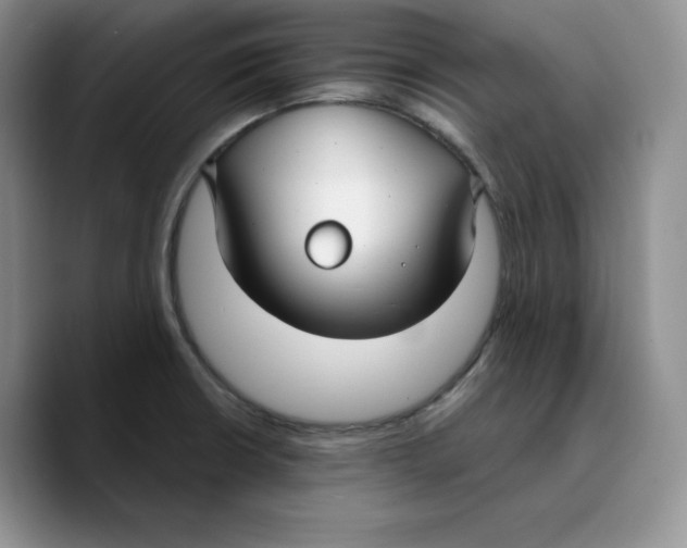 X0000089741426200707201853