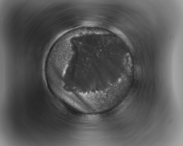 X0000089741427200707201853