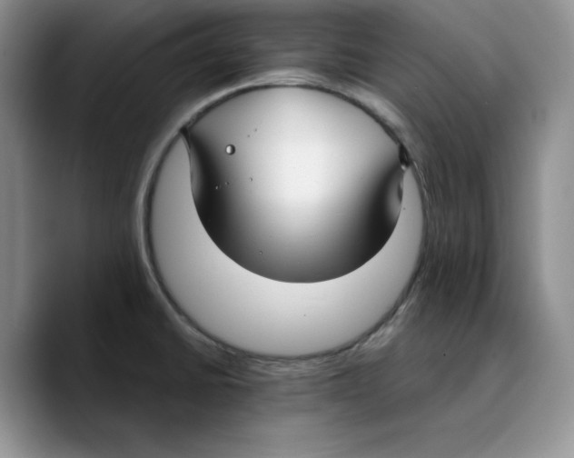 X0000089741430200707201853