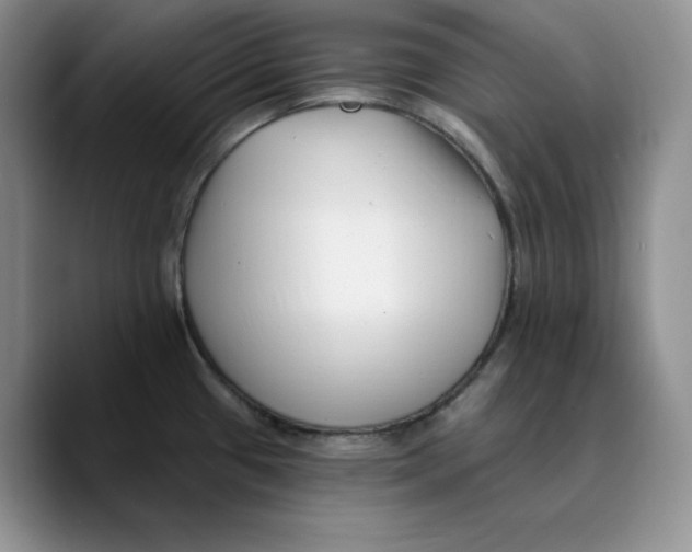 X0000089741433200707201853