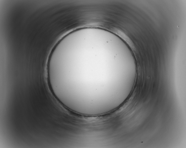 X0000089741436200707201853