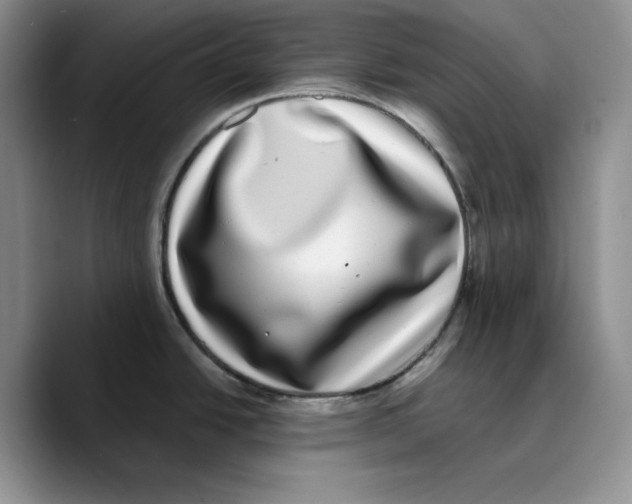 X0000089741438200707201853