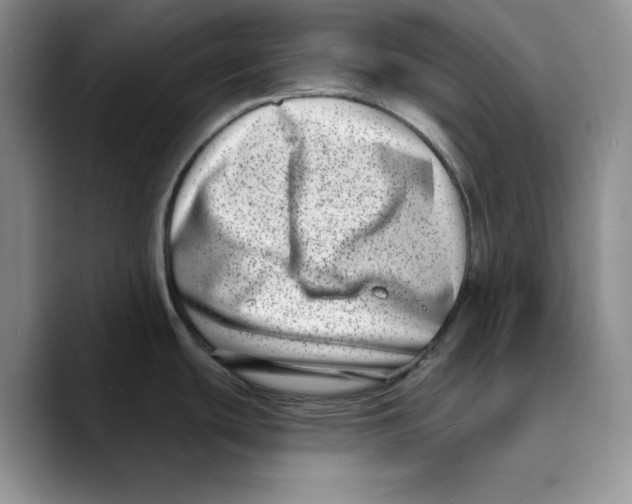 X0000089741439200707201853