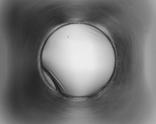 X0000089741440200707201853