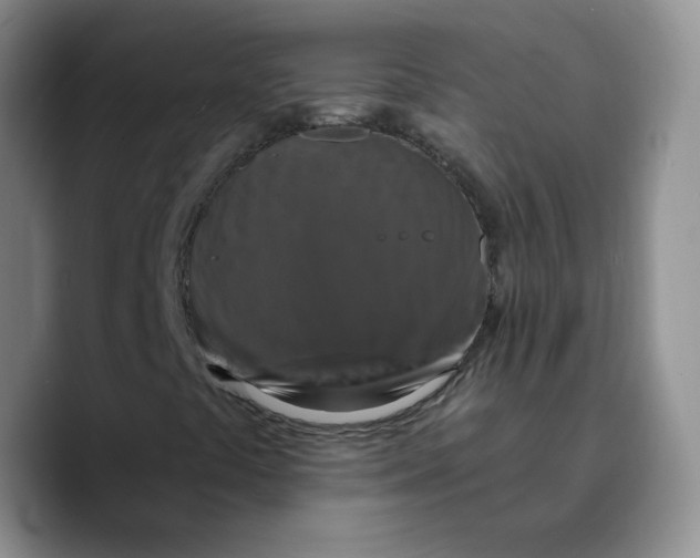 X0000089741441200707201852