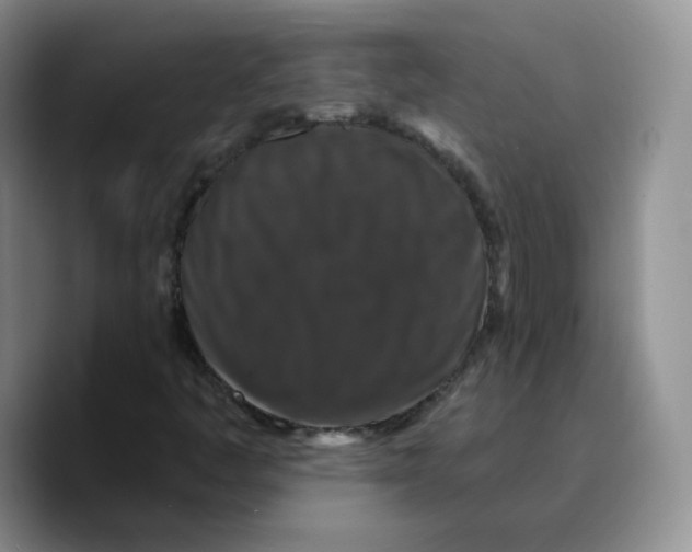 X0000089741445200707201852