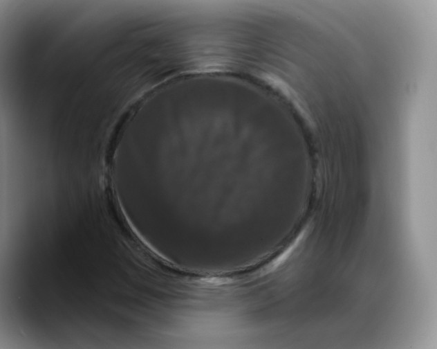 X0000089741449200707201852