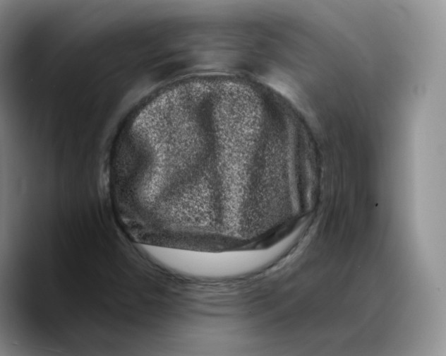 X0000089741450200707201852