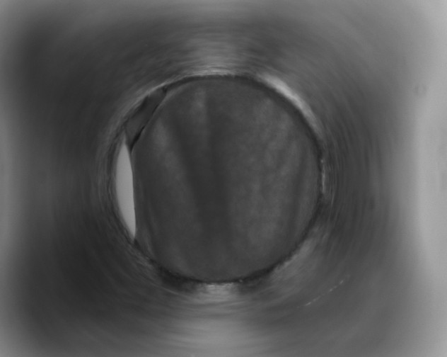 X0000089741453200707201852